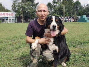 專業(yè)訓(xùn)狗，成就非凡 成都勇軍訓(xùn)犬基地的服務(wù)與價(jià)值